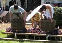 2018-goes-with-wine-testimonials-3_original_copy_3